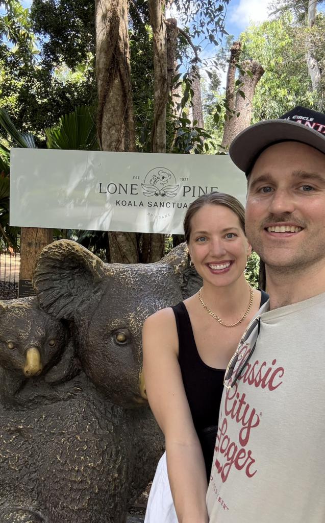 can you still hold koalas at lone pine?